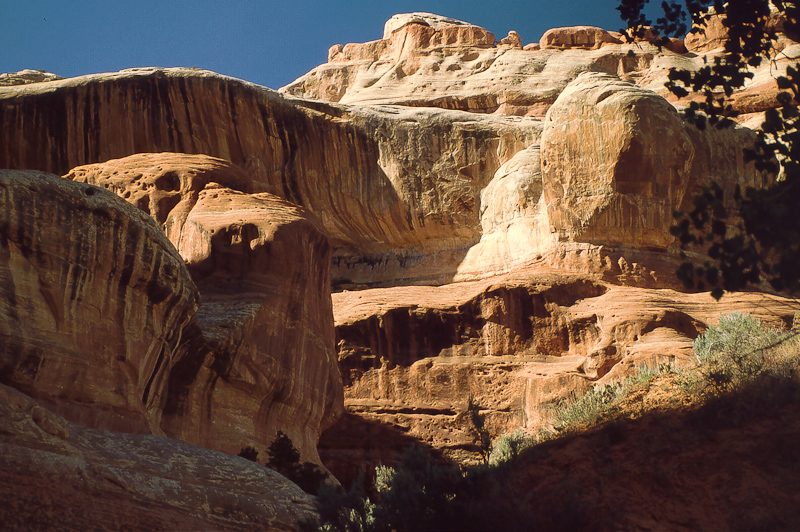 Lavender Canyon