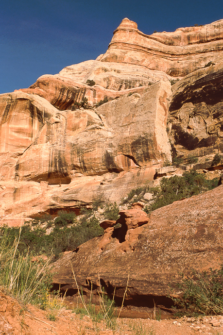 Lavender Canyon