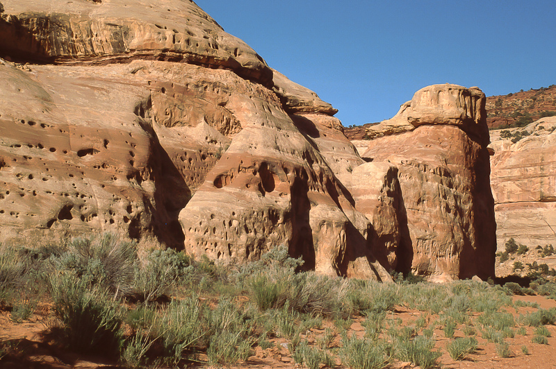 Lavender Canyon