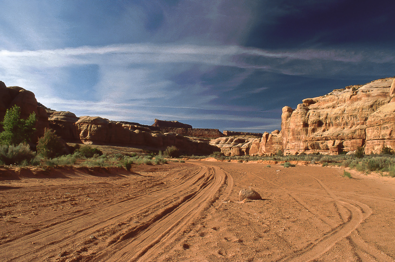 Lavender Canyon