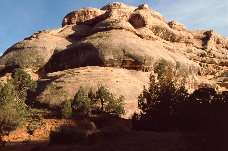 Lavender Canyon