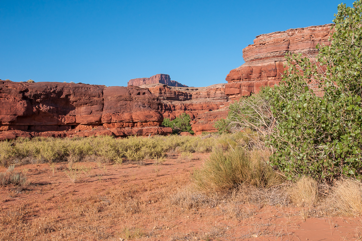 Lockhart Canyon