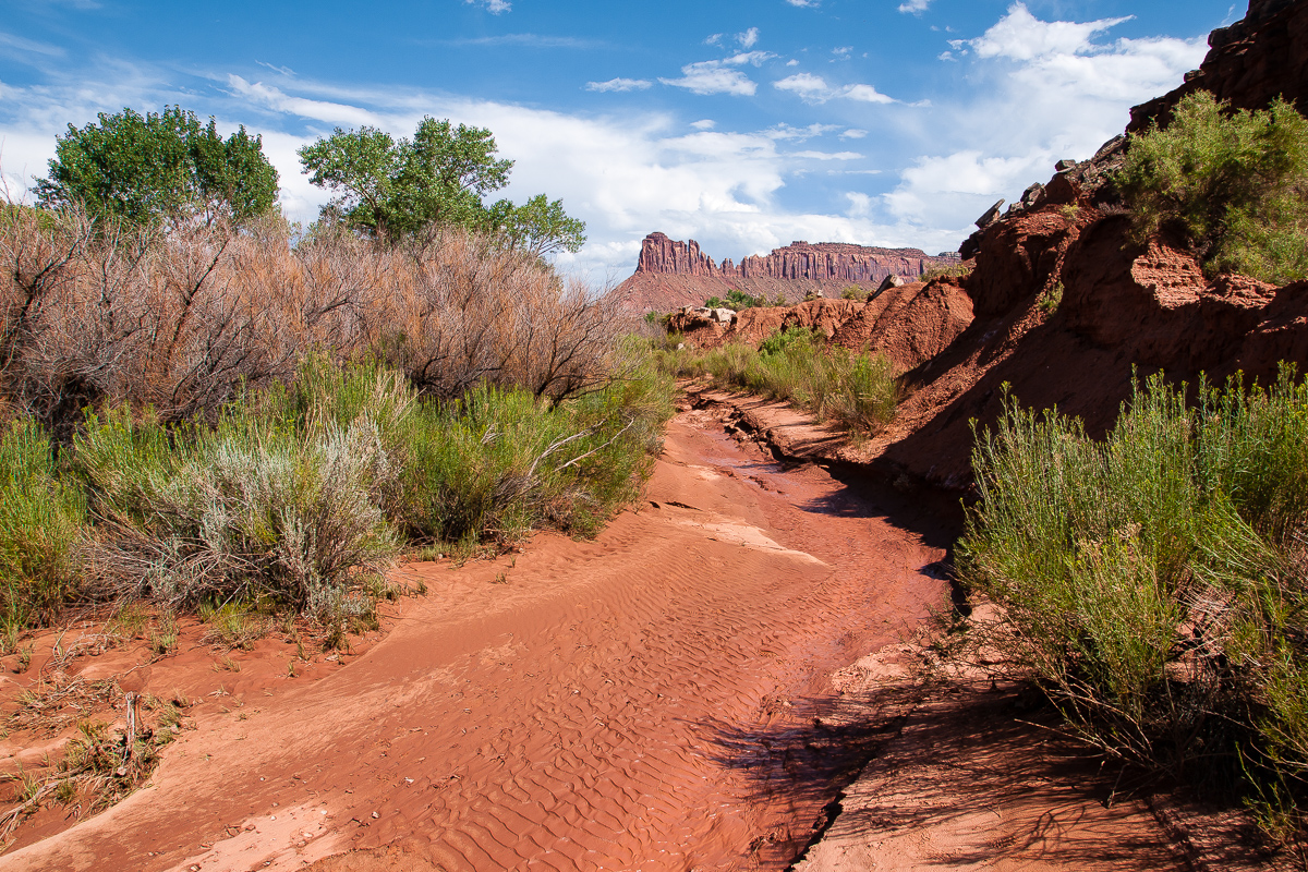 Trail zwischen Davis und Lavender Canyon