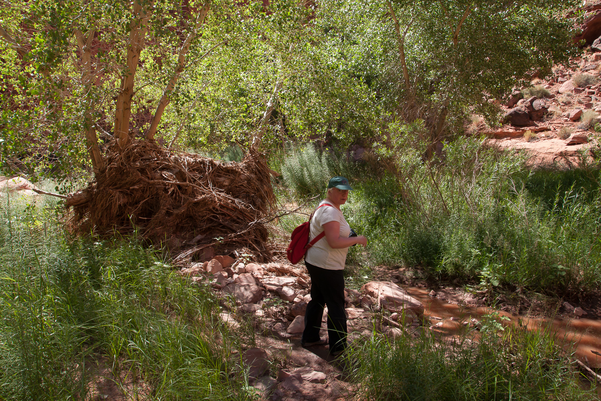 Hunters Canyon Creek