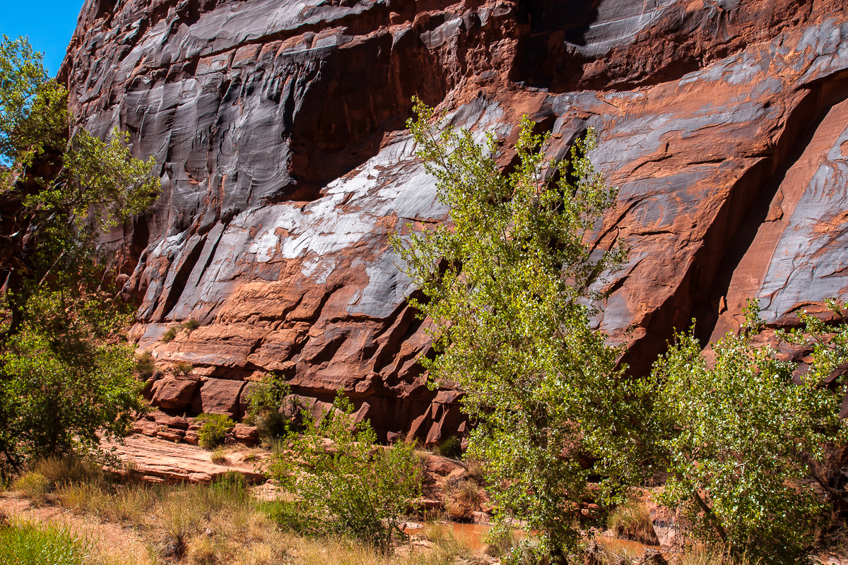 Desert Varnish im Hunters Canyon