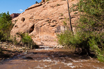 Mill Creek Canyon
