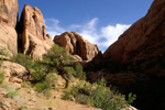 Negro Bill Canyon