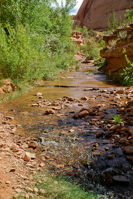 Negro Bill Canyon