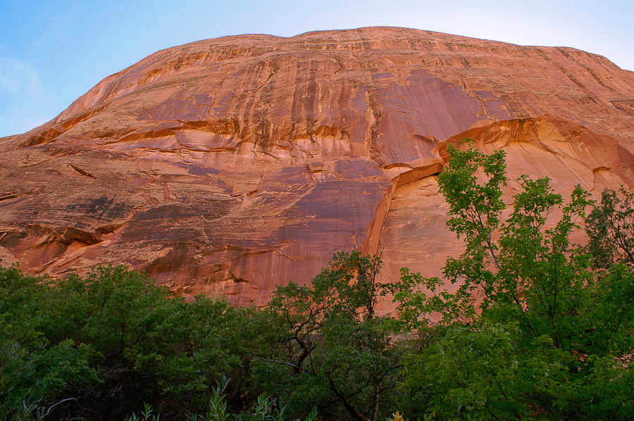 Negro Bill Canyon