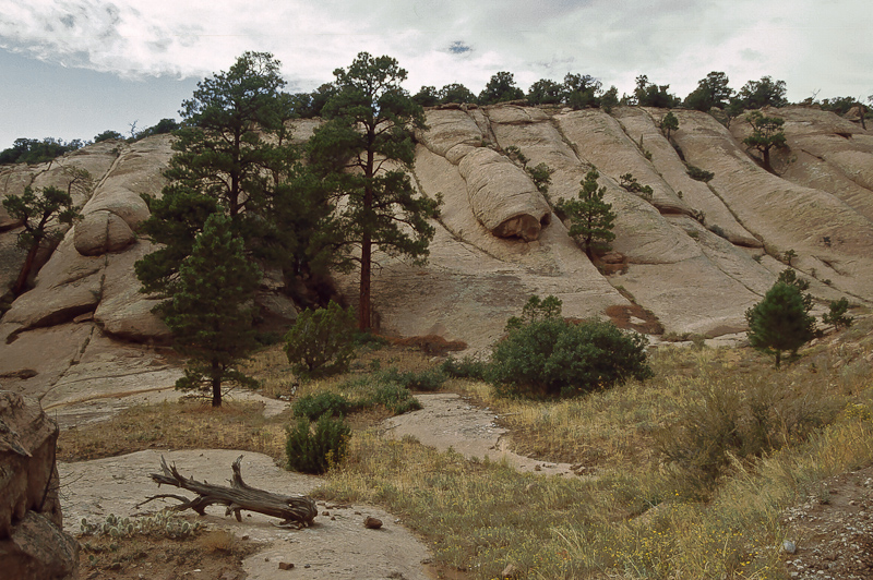 Sand Flats Road
