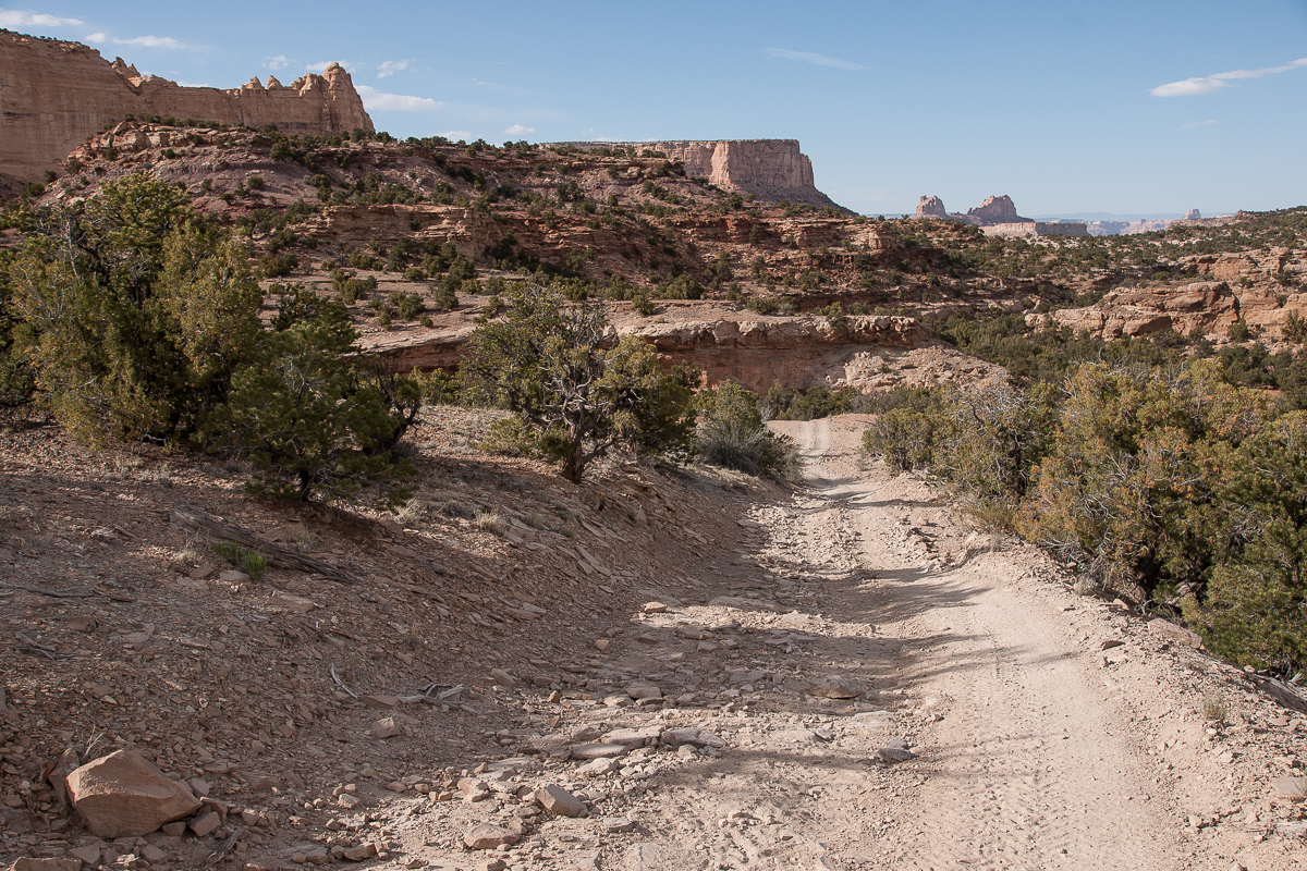 Cane Wash Canyon