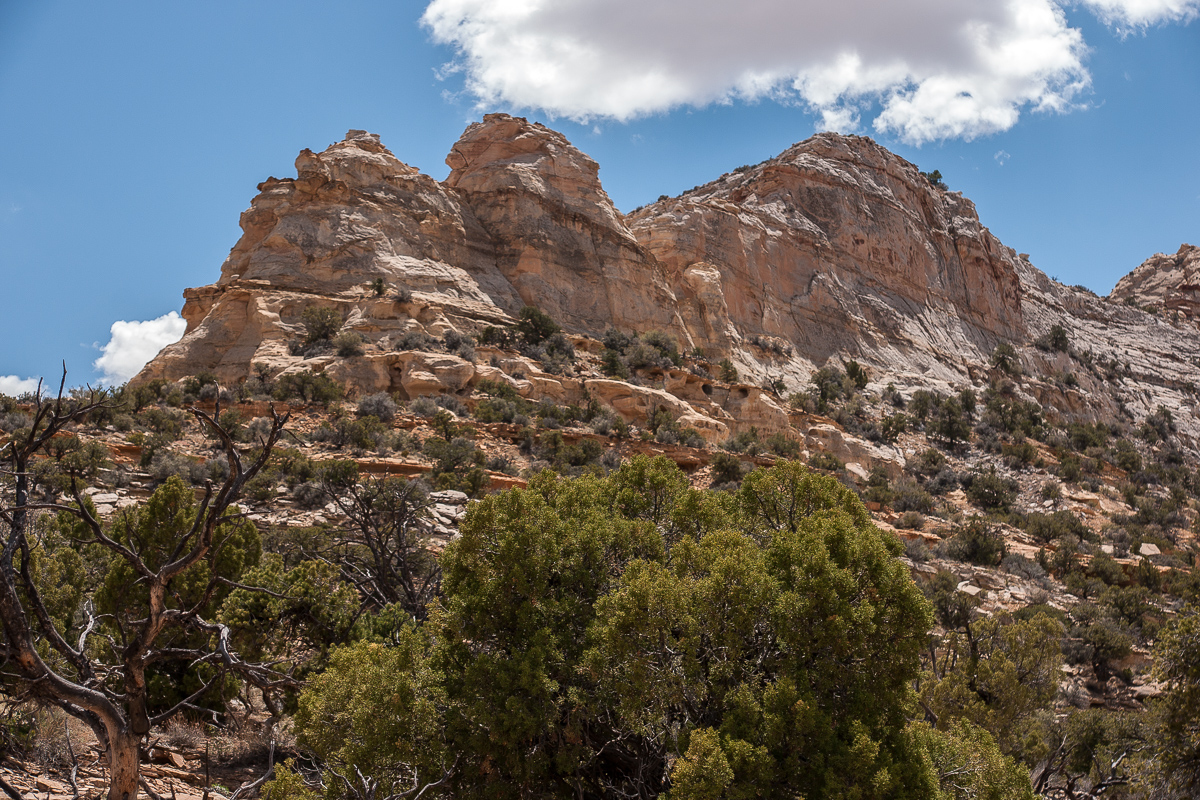 Sids Mountain Wilderness Study Area