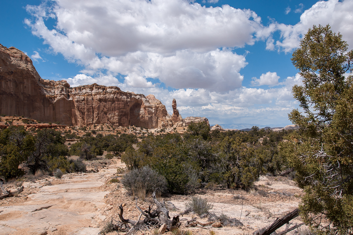 Pointer Finger Rock