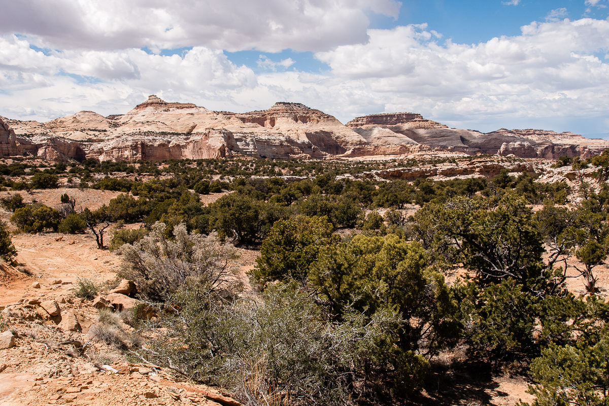 Sids Mountain Wilderness Area