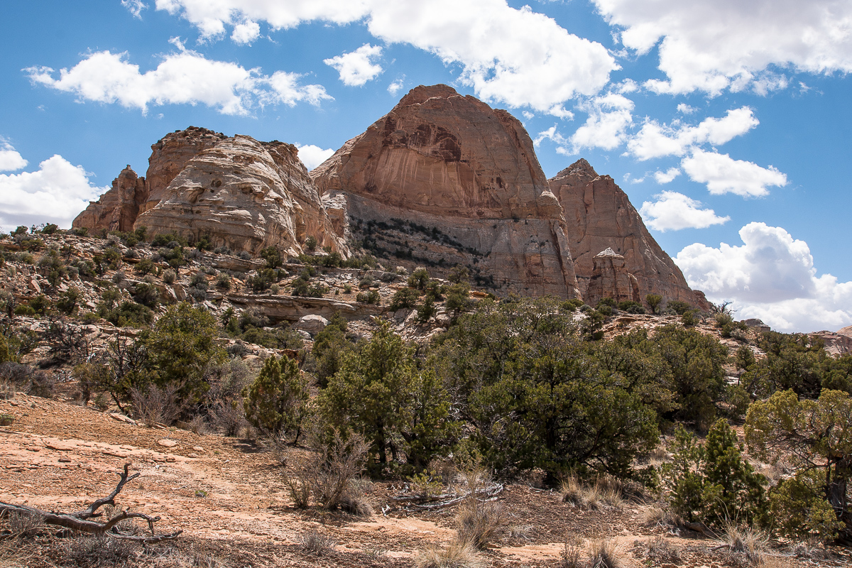 Sids Mountain Wilderness Area