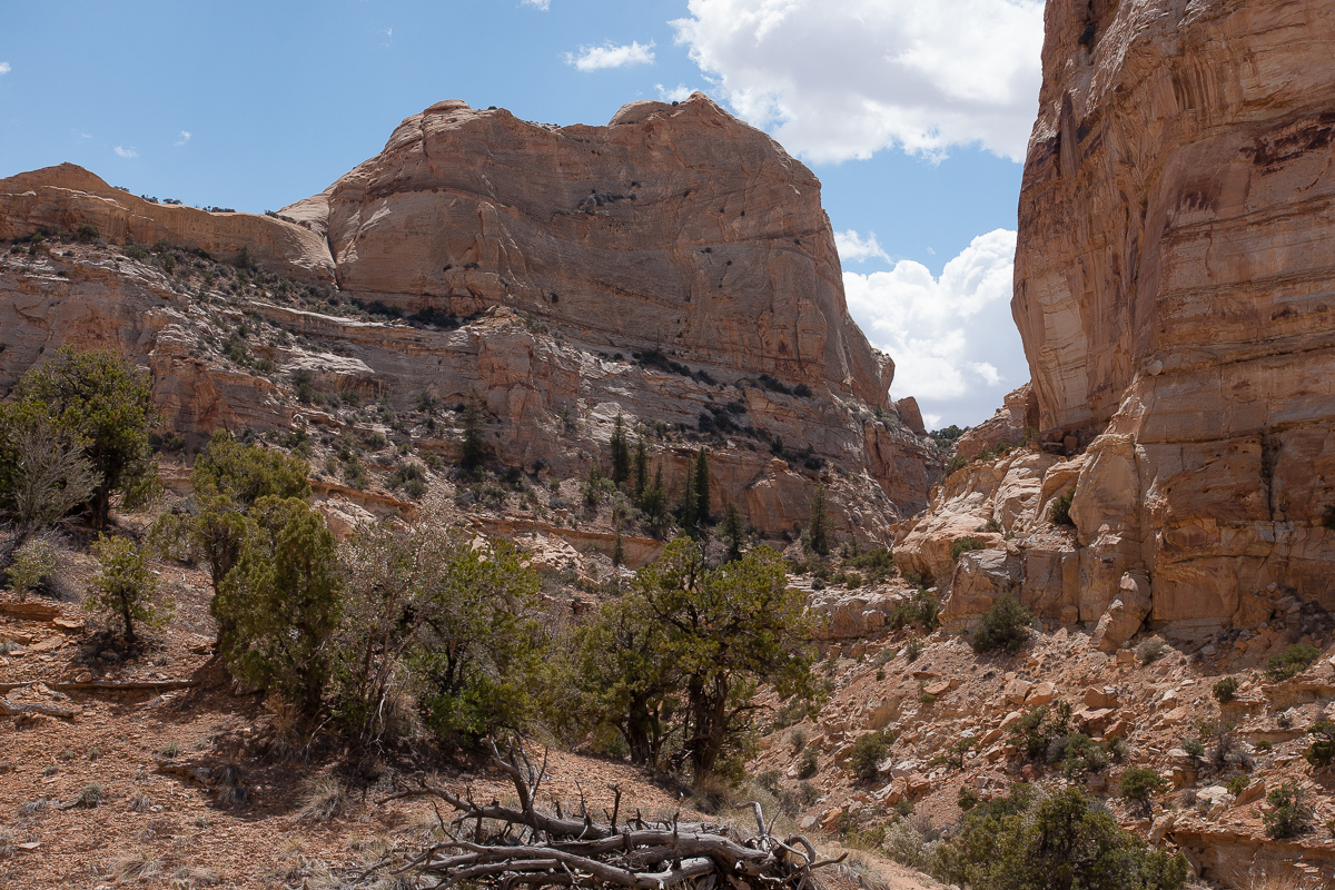 Sids Mountain Wildernes Study Area