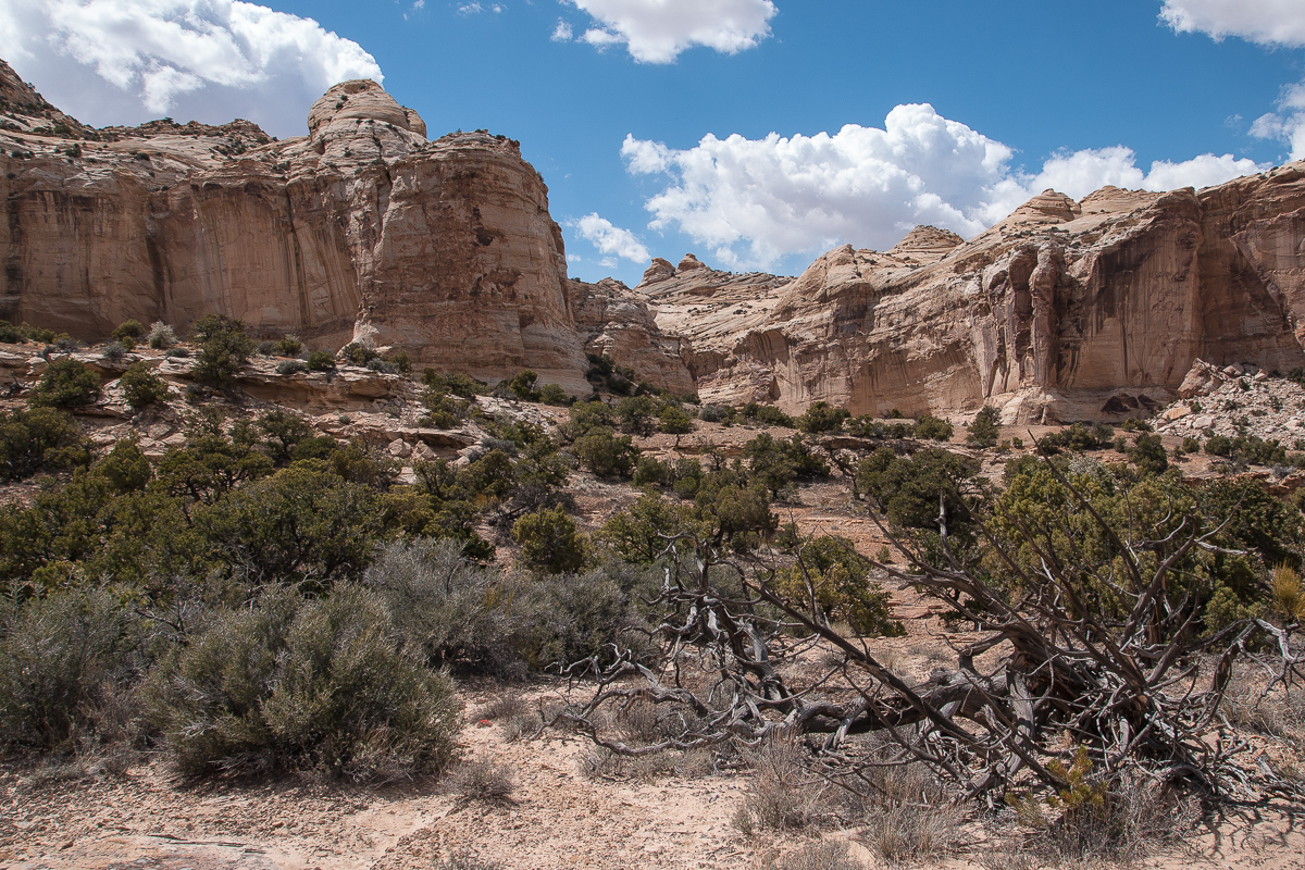 Sids Mountain Wilderness Study Area