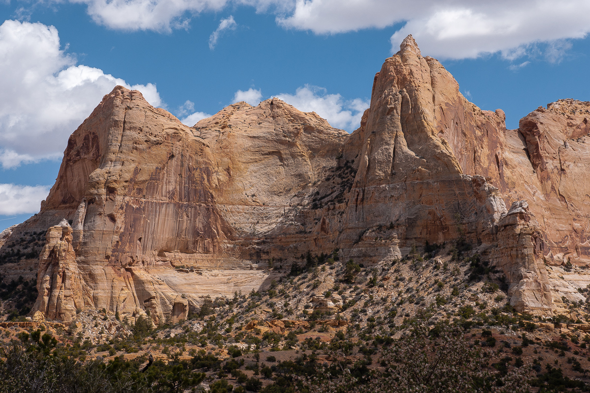 Sids Mountain Wilderness Study Area