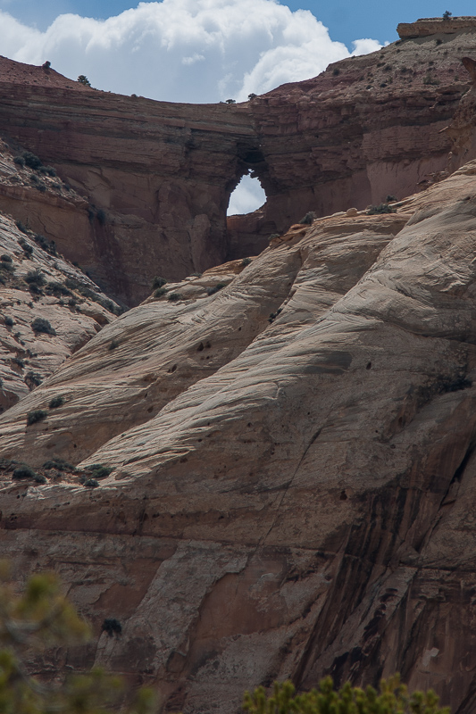 Wood Hollow Arch