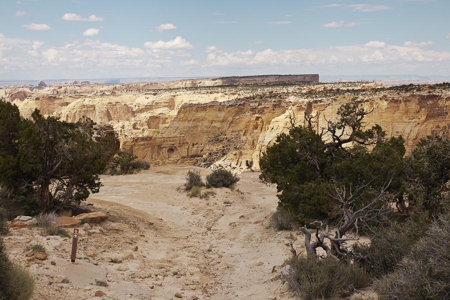 Devils Racetrack Trail