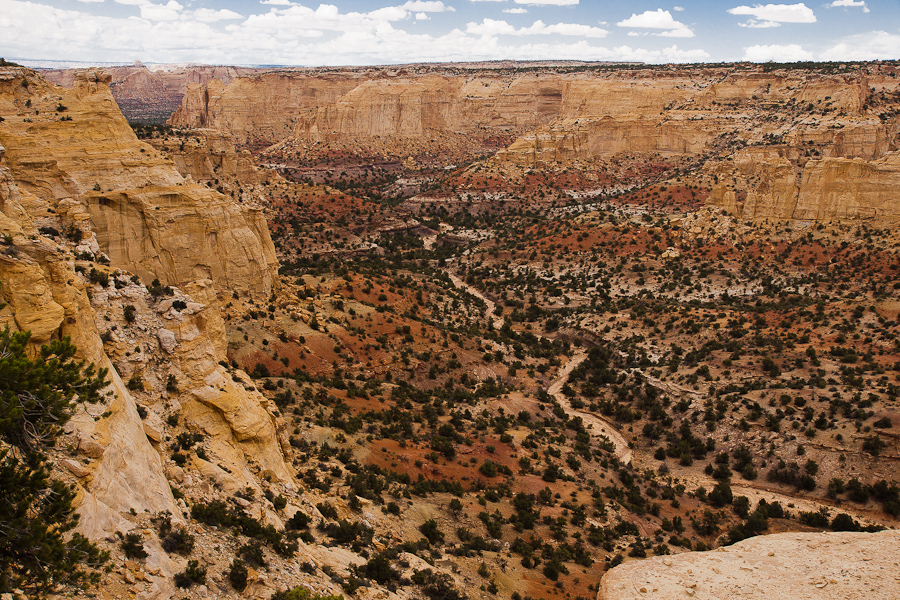 North Coal Canyon