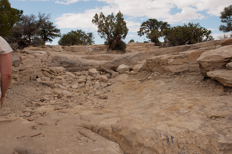 Devils Racetrack Trail