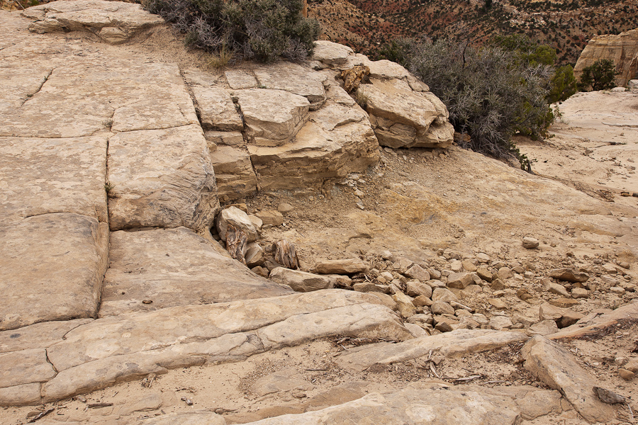 Devils Racetrack Trail