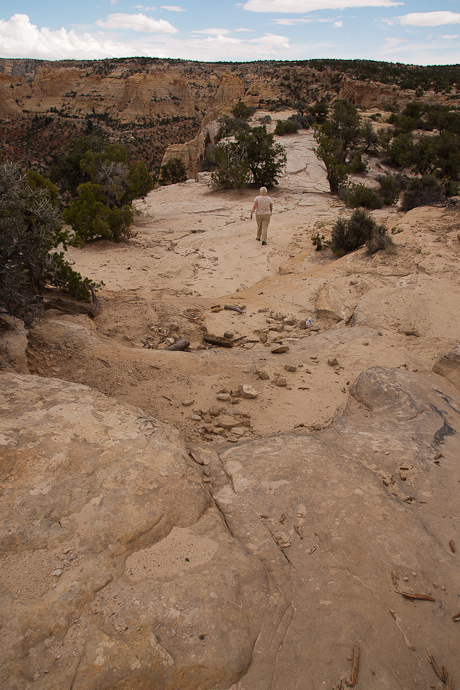 Devils Racetrack Trail