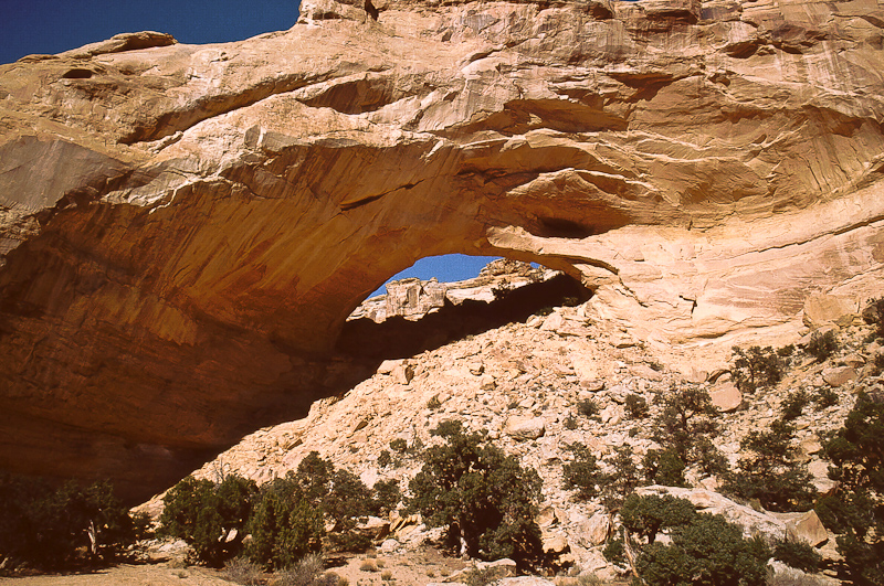 Slipper Arch