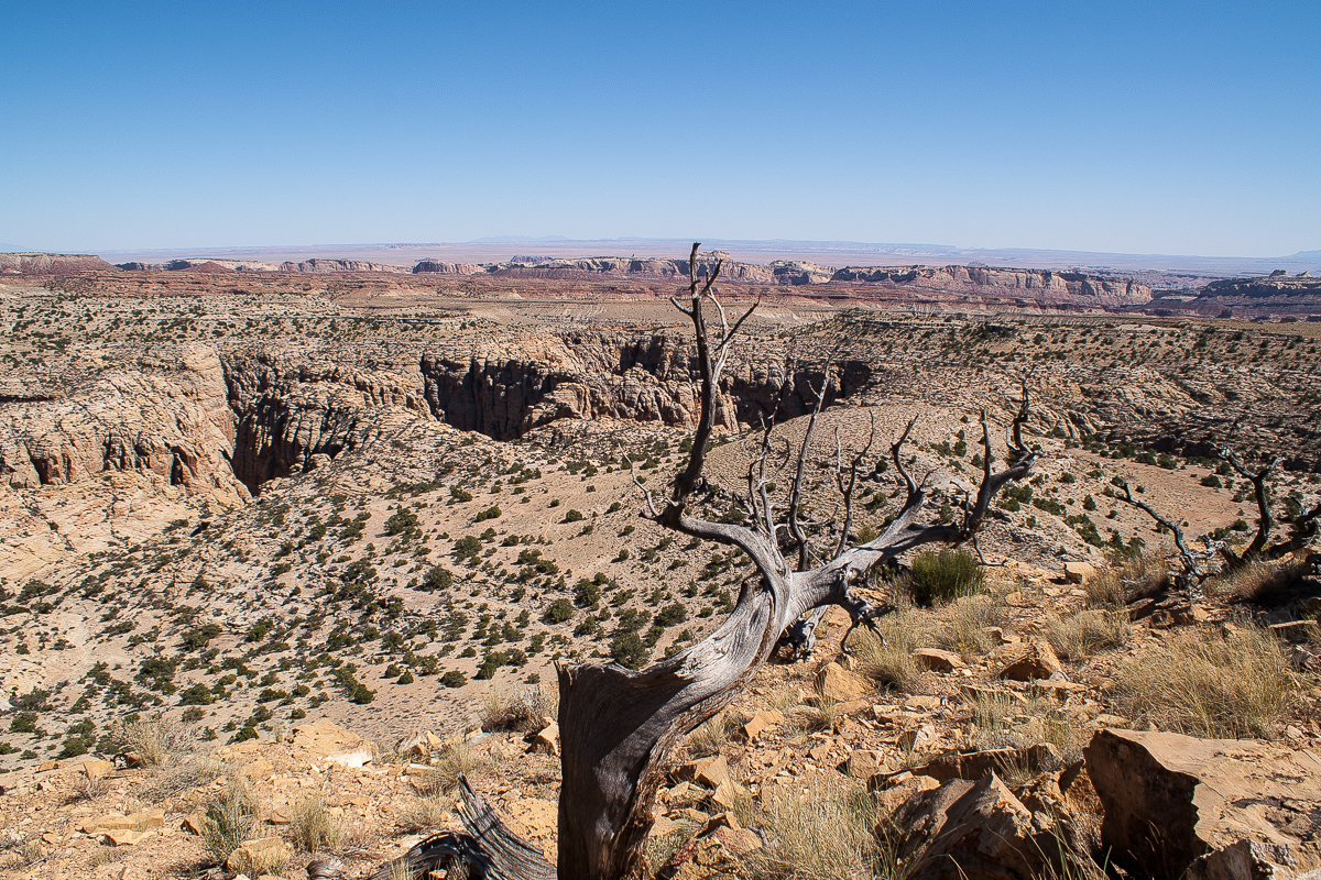 Upper Chute Canyon