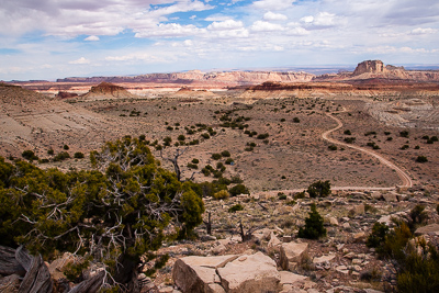 Little Wild Horse Canyon Road