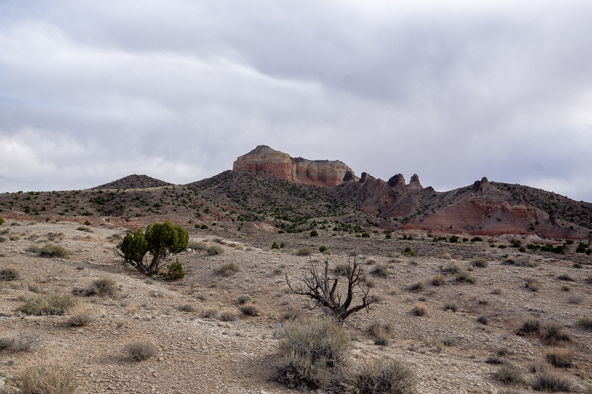 East Cedar Mountain