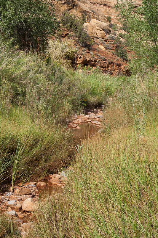 Arch Canyon Creek