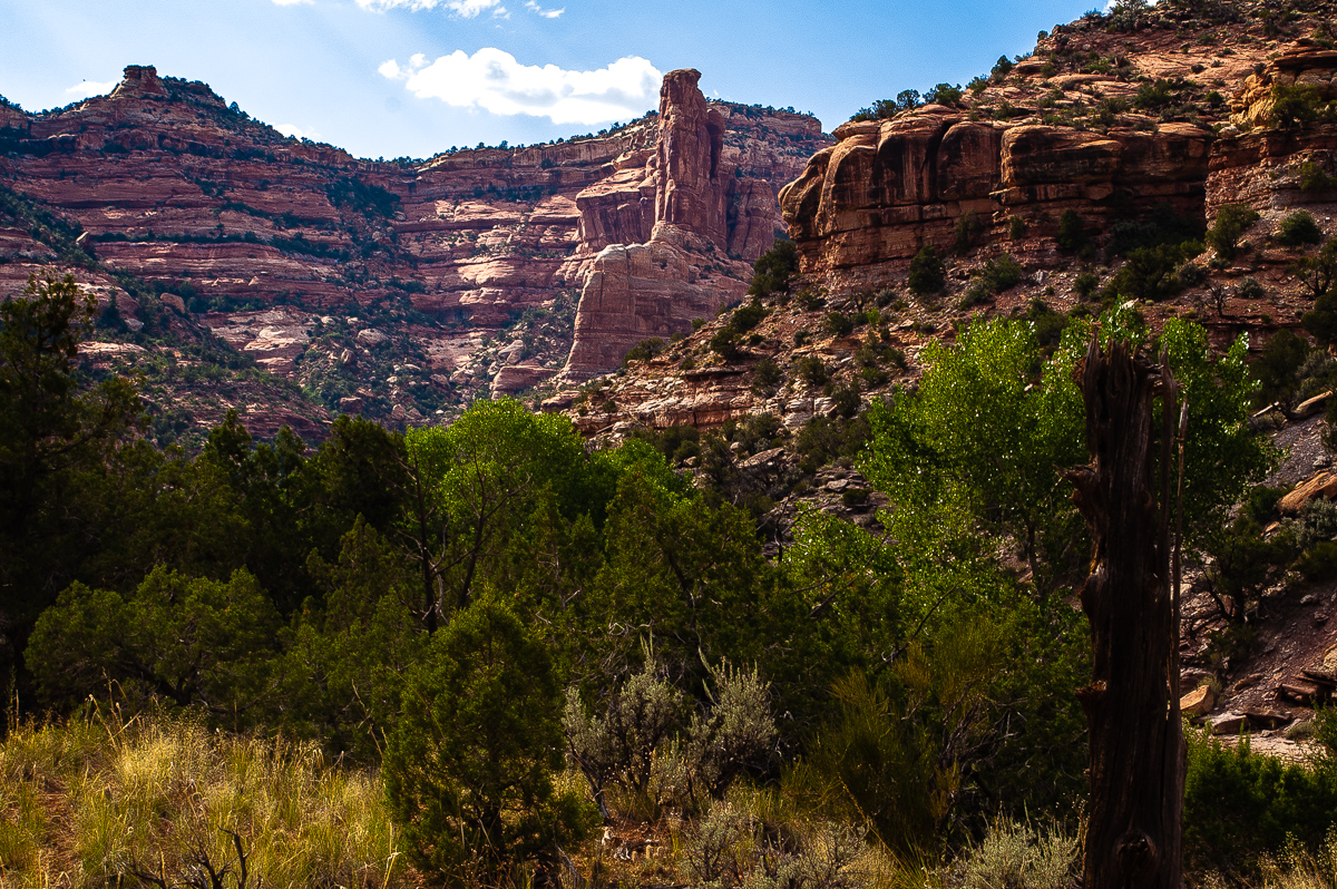 Arch Canyon