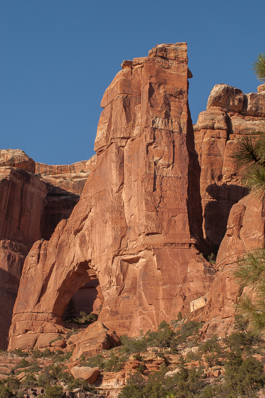 Cathedral Arch