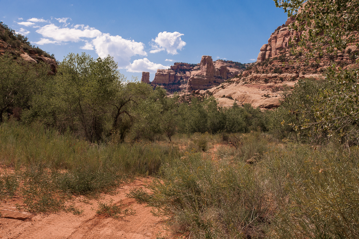 Arch Canyon