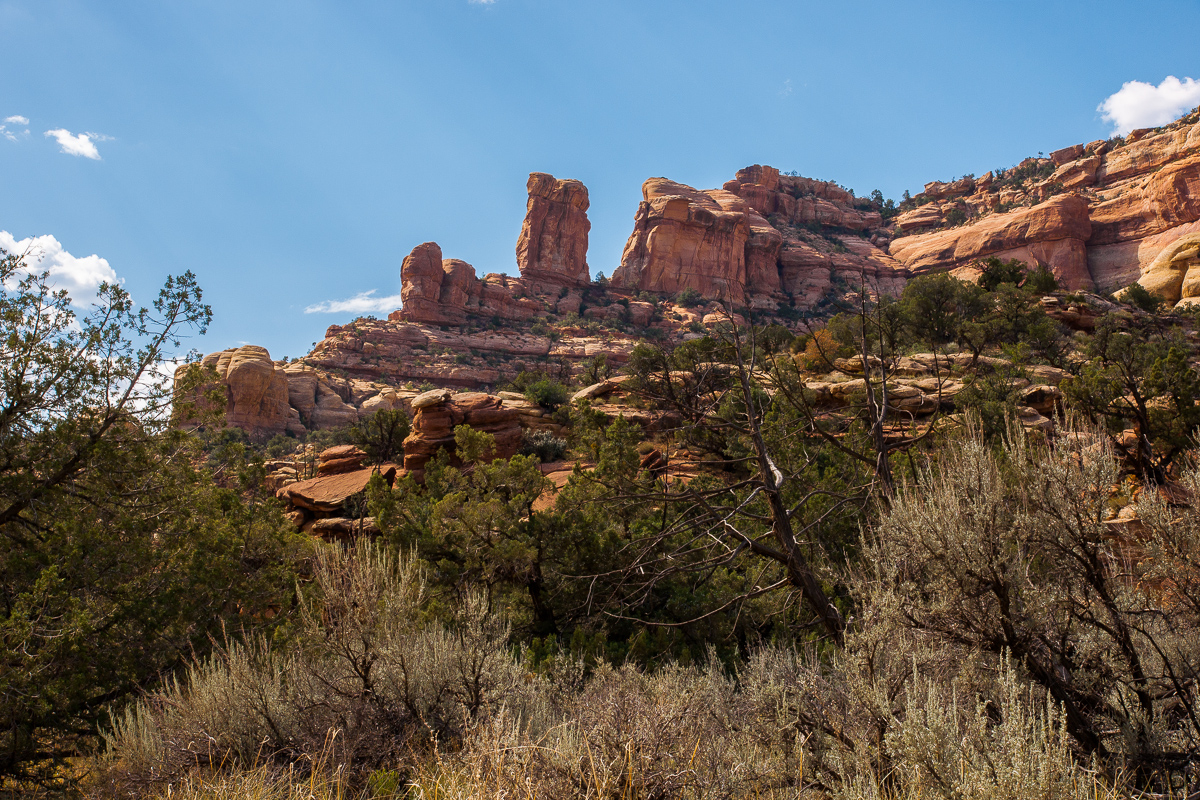 Arch Canyon