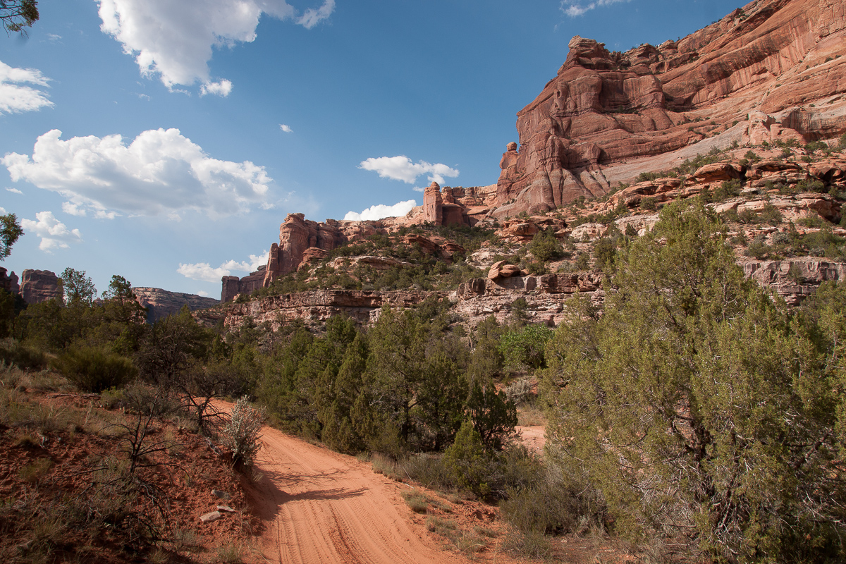 Arch Canyon