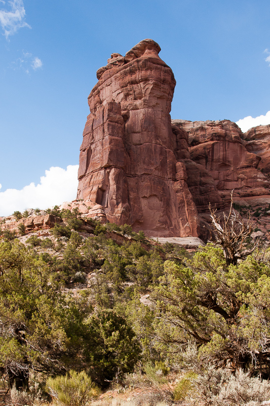 Arch Canyon