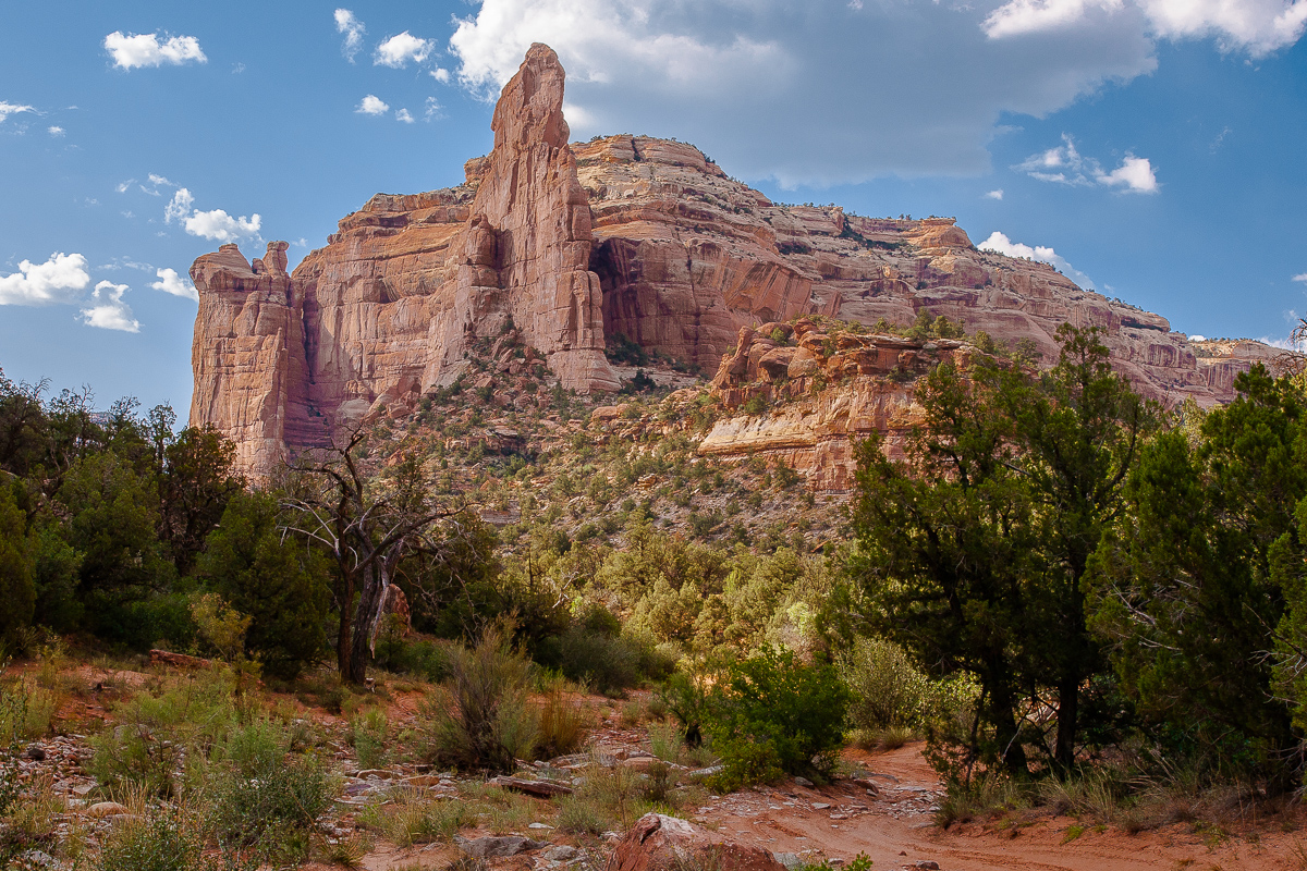 Arch Canyon