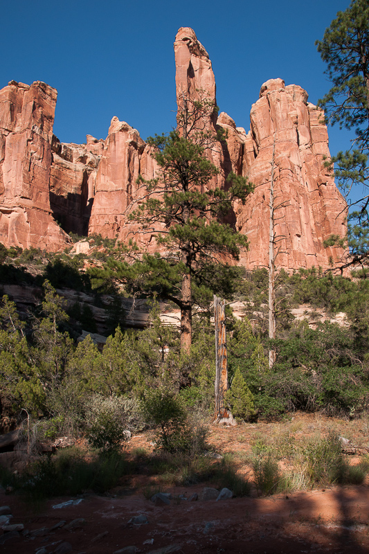 Arch Canyon
