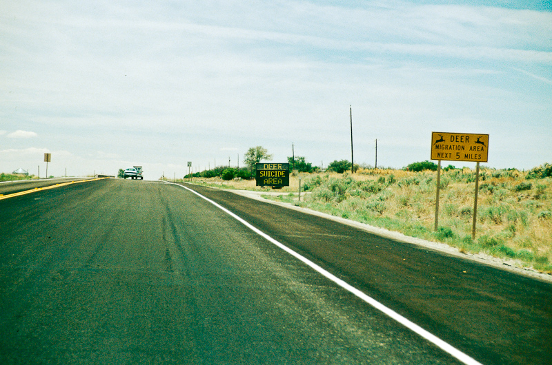 Deer Suicide Area