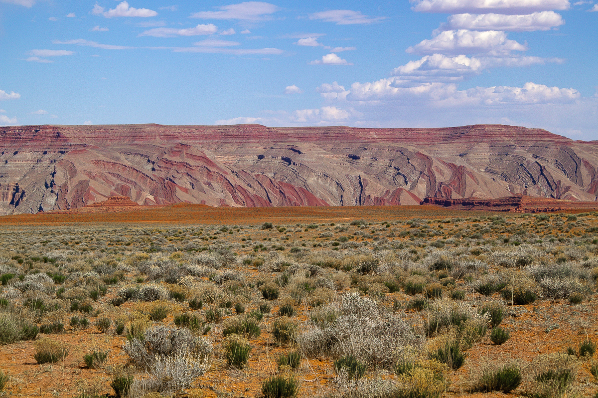 Raplee Anticline