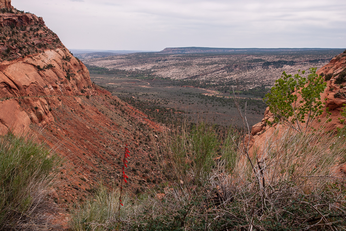 Comb Wasy Valley; Beaullie Mesa