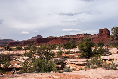 Found Mesa Bench