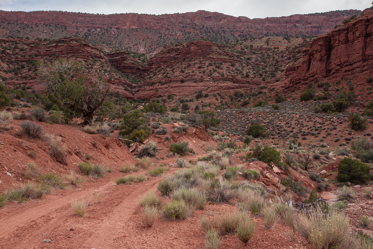 Piute Pass Trail