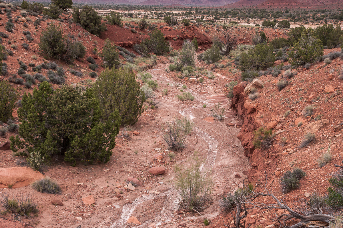 Piute Pass Trail