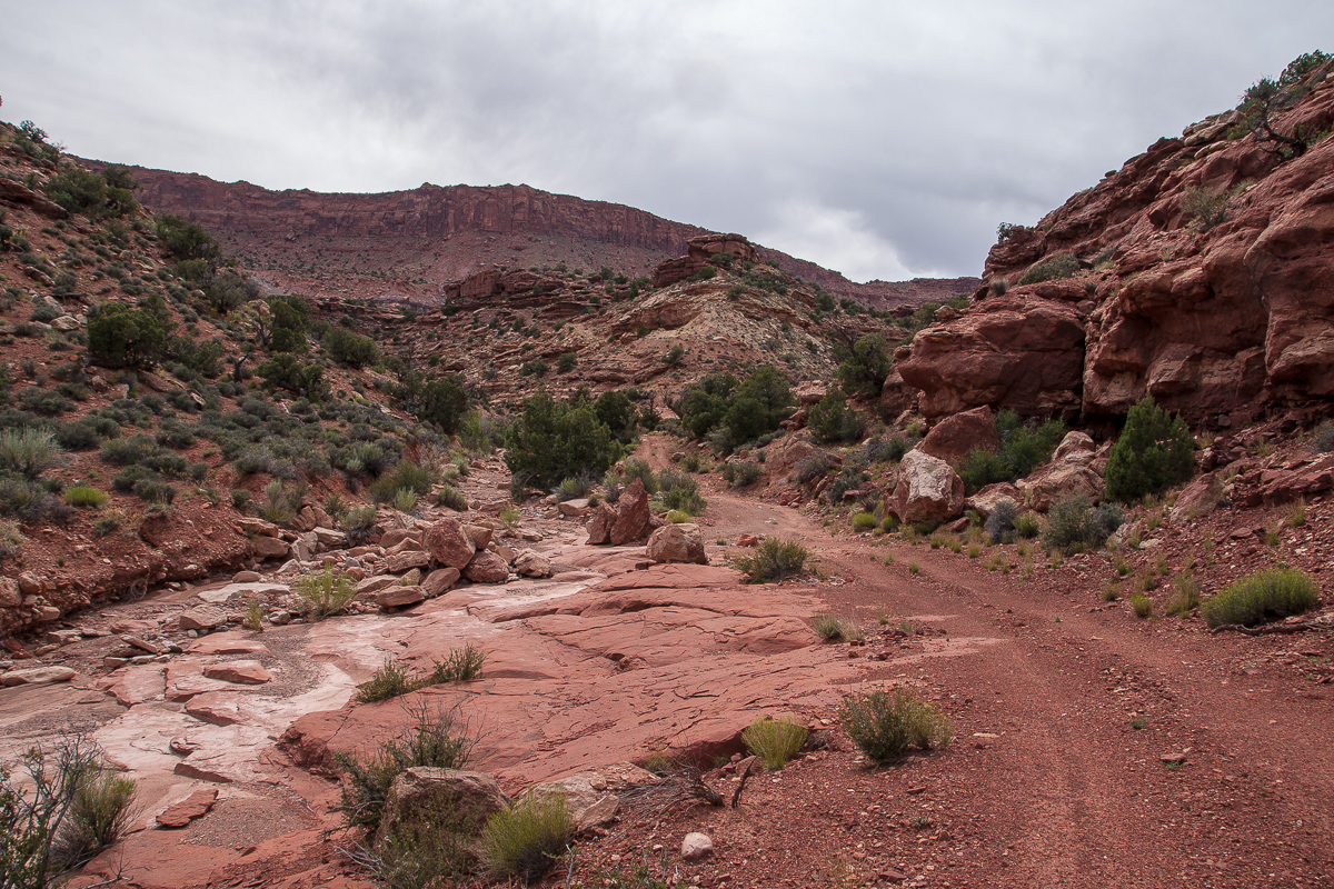 Piute Pass